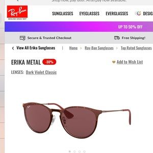 COPY - Ray-Ban Erika Sunglasses